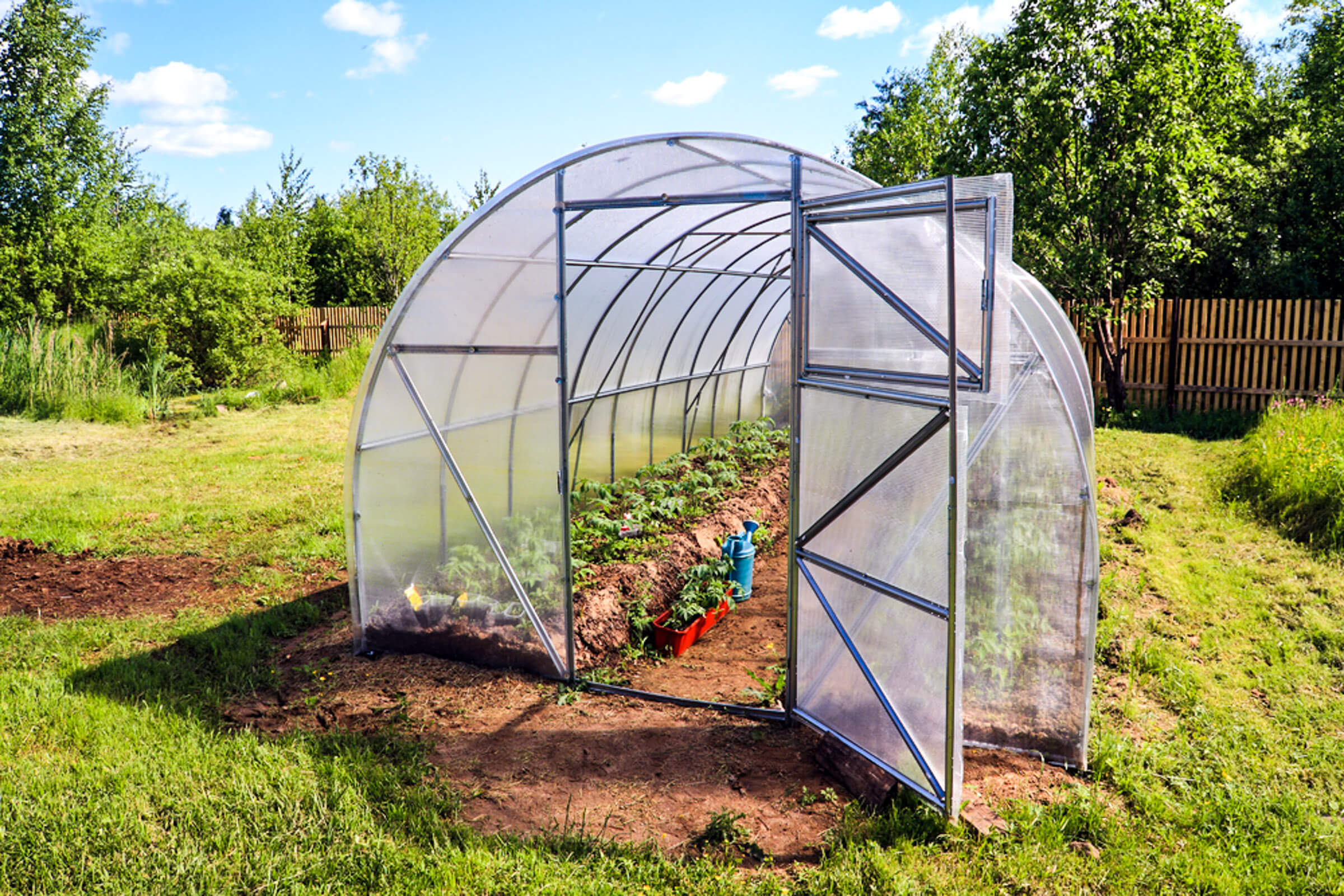 Effective Ways to Care for String of Pearls in 2025