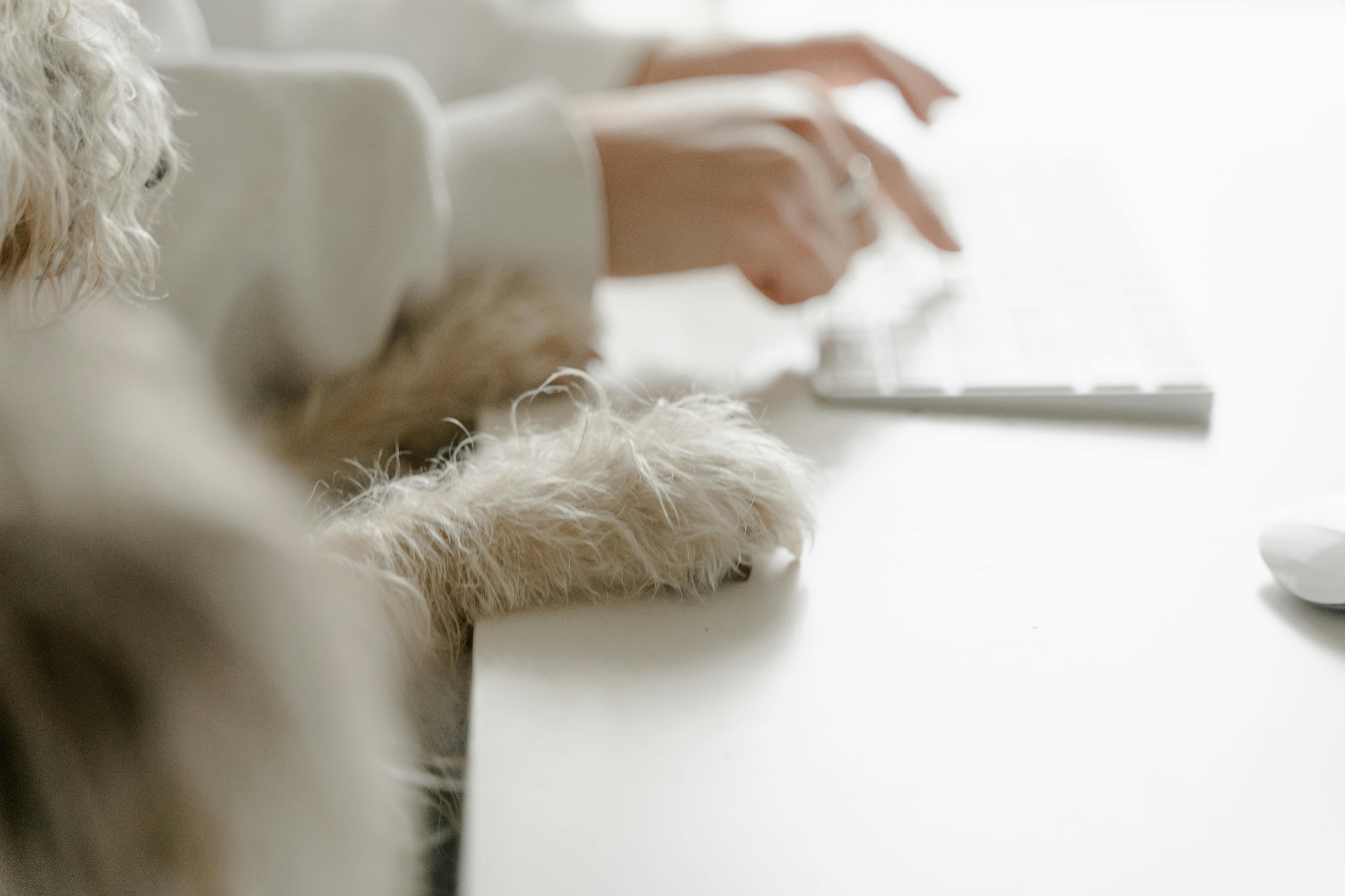 Smart Ways to Sell on Etsy: 7 Practical Tips to Thrive in 2025