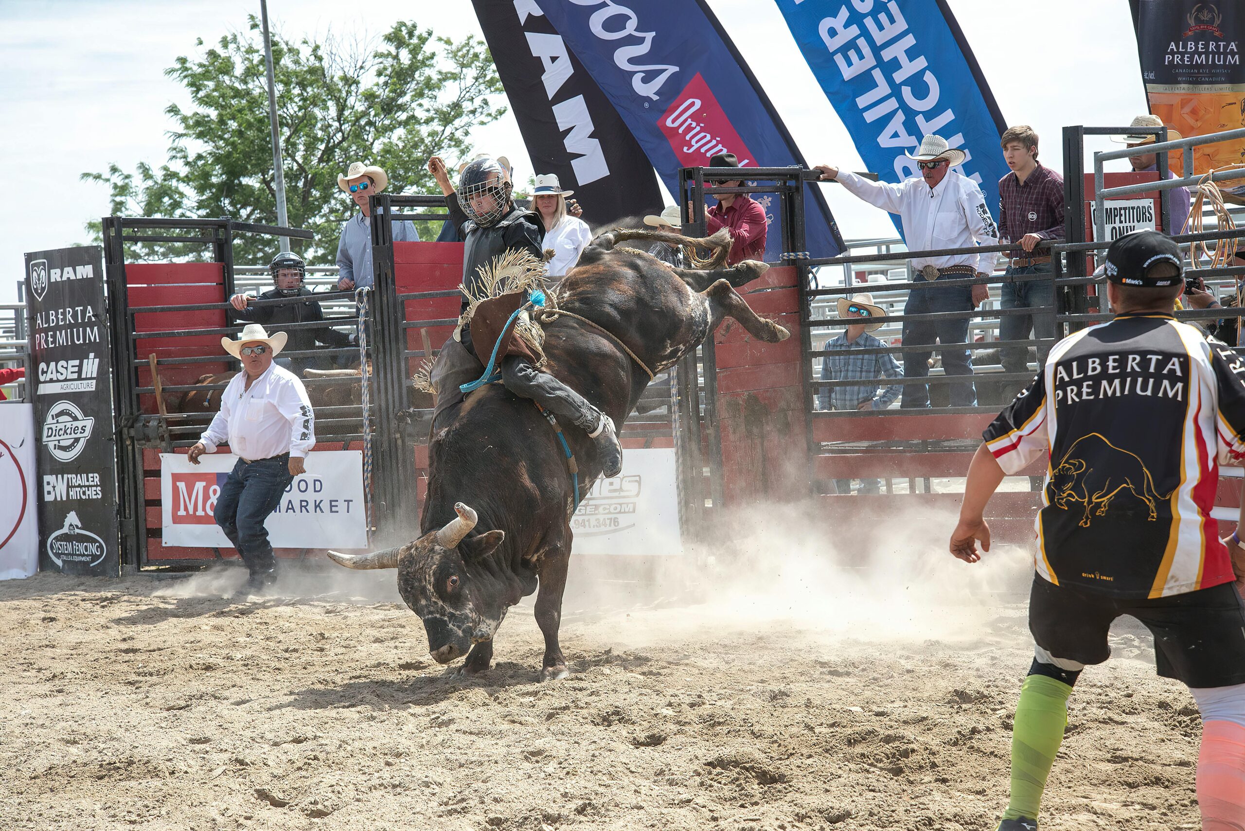 Practical Guide to How to Be a Cowboy in 2025: Discover Essential Skills for Modern Ranch Life